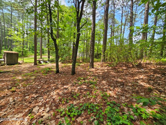 181 Joel Rd, Home with 0 bedrooms, 0 bathrooms and null parking in Carthage NC | Image 30