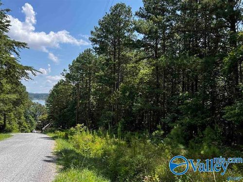 LOT 14 County Road 592, Leesburg, AL, 35983-4917 | Card Image