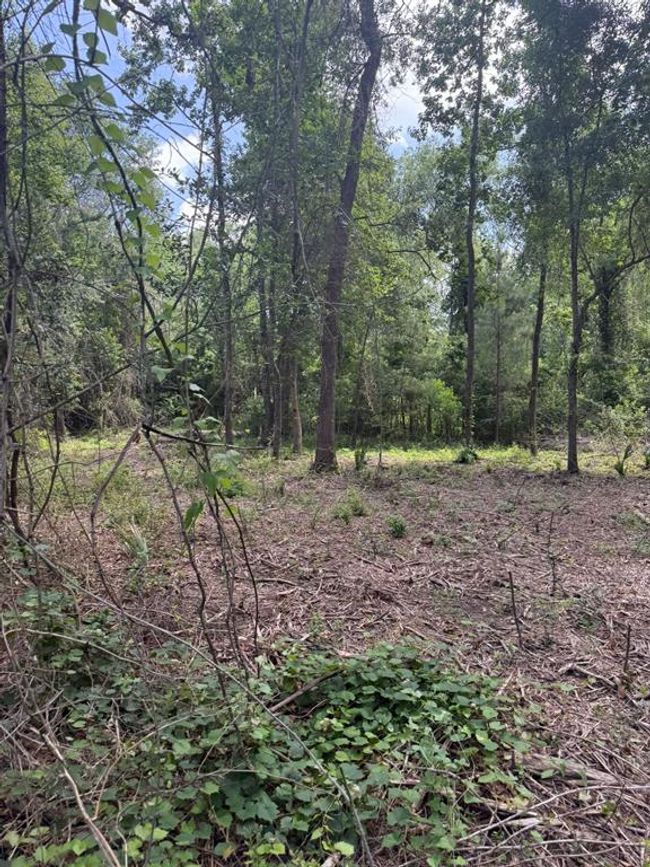 0 Paradise Point Dr, Home with 0 bedrooms, 0 bathrooms and null parking in Willis TX | Image 5