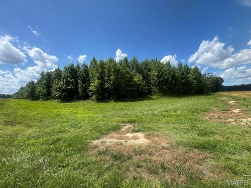 0 County Road 614, Broseley, MO, 63932 | Card Image