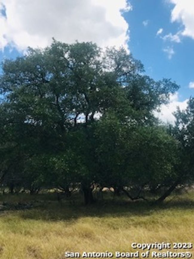 26 Mustang Crossing Dr, Home with 0 bedrooms, 0 bathrooms and null parking in Pipe Creek TX | Image 20