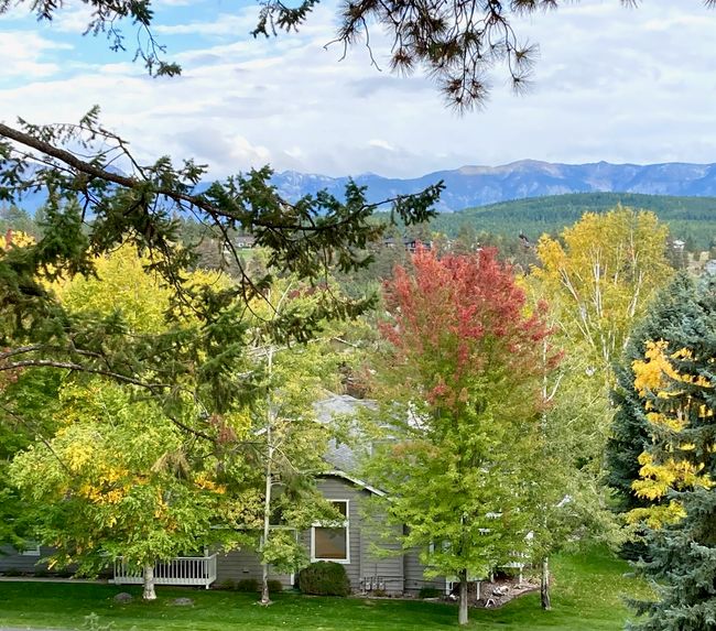 Autumn view | Image 35