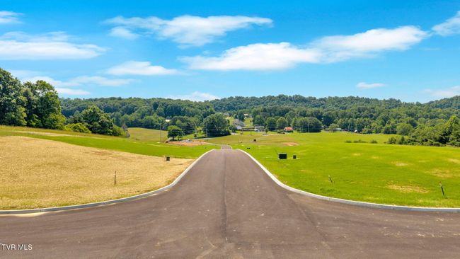 436 Tortoise Way, Home with 0 bedrooms, 0 bathrooms and null parking in Jonesborough TN | Image 4