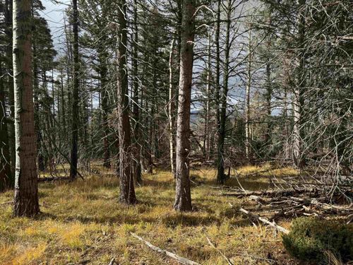Lot 1335 Skyview Way, Angel Fire, NM, 87710 | Card Image
