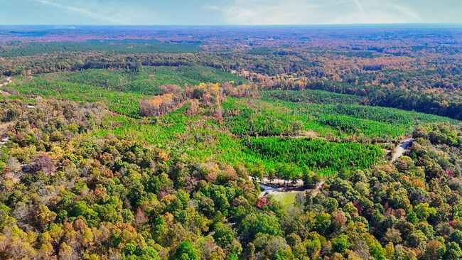 4 Ferrell Rd, Home with 0 bedrooms, 0 bathrooms and null parking in Middleton TN | Image 4