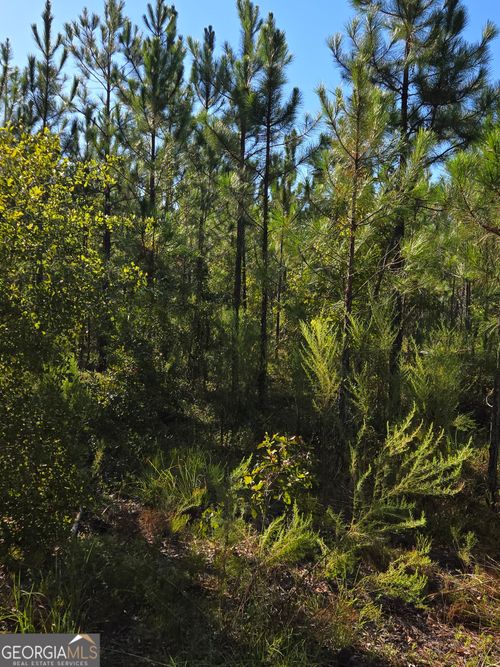 0 Waldon Way, Adrian, GA, 31002 | Card Image