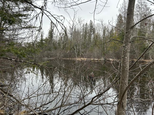 743 Woodlawn Rd, House other with 2 bedrooms, 1 bathrooms and null parking in Pickerel WI | Image 62