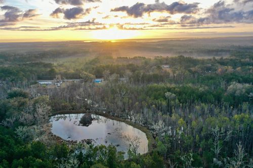 2909-2909 Shellman Bluff Rd Ne, Townsend, GA, 31331-4747 | Card Image