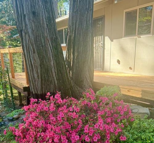 12894 Banner Lava Cap Rd, Nevada City, CA, 95959-8905 | Card Image