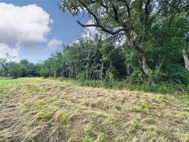 Lot 6 & TBD BTSLP# Emerald Lane, Home with 0 bedrooms, 0 bathrooms and null parking in Corsicana TX | Image 26