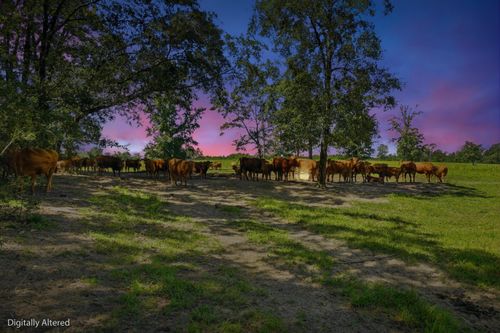 520 Acres Us Highway 331 N, Defuniak Springs, FL, 32433 | Card Image