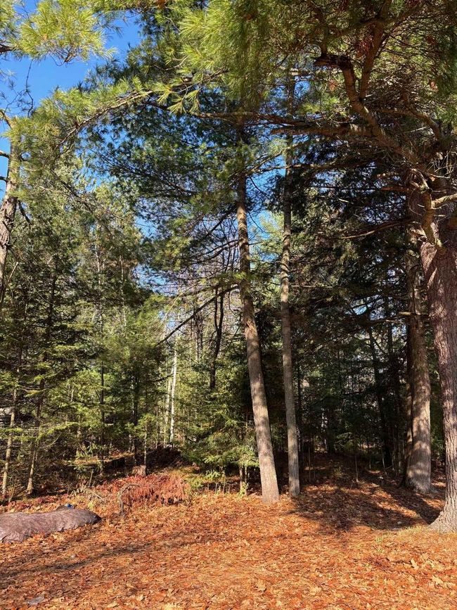 13763 Lake Shore Lane, House other with 2 bedrooms, 1 bathrooms and null parking in Mountain WI | Image 25