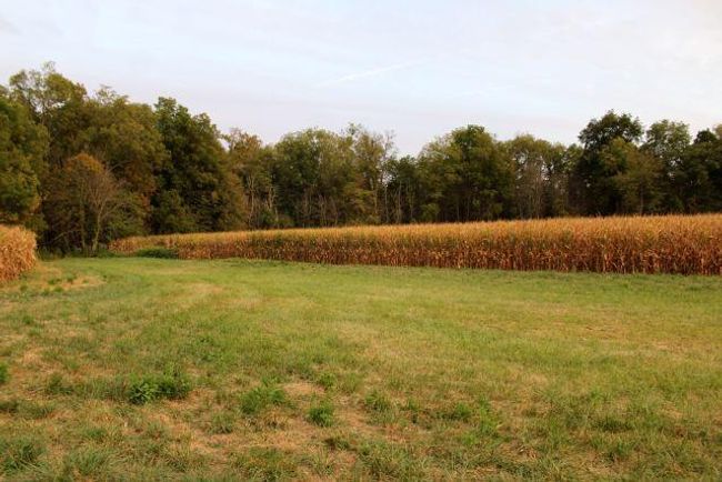 0 Columbus Rd, Home with 0 bedrooms, 0 bathrooms and null parking in Mount Vernon OH | Image 8