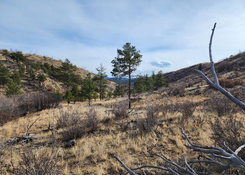 961 Shannon Trl, Cotopaxi, CO, 81223 | Card Image