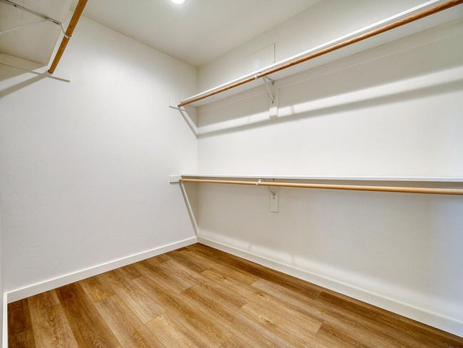 1168 Paper Birch-25 | Image 26