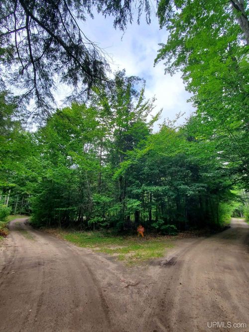 TBD N Summer Homes Road, Au Train, MI, 49806 | Card Image