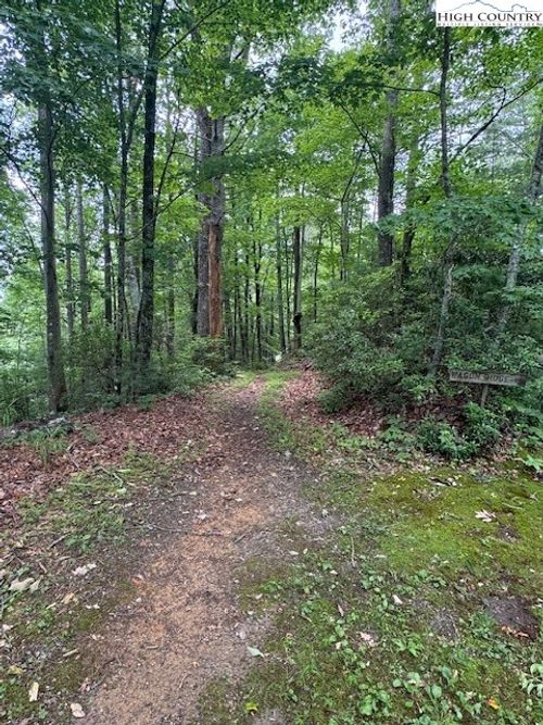 11 Wagon Ridge Ln, Ferguson, NC, 28624 | Card Image