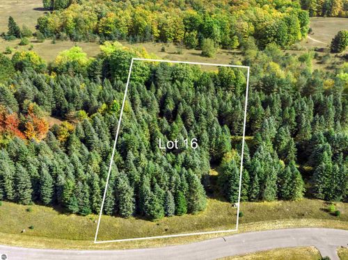 Lot 16 Lipp Farm Rd, Benzonia, MI, 49616 | Card Image