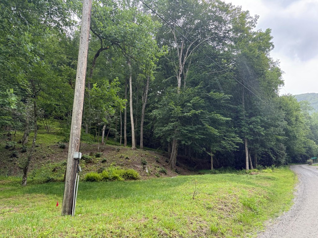 Land in Franklin 3