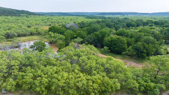 Drone / aerial view of a forest and a large body of water | Image 29