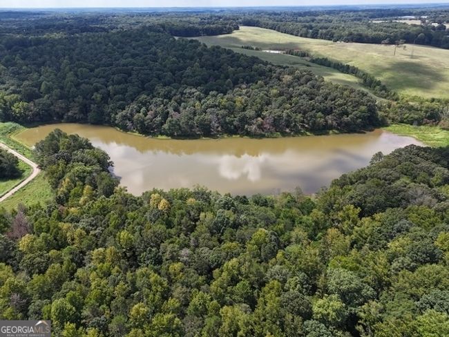 TRACT-9 - 0 Sanford Dr, Home with 0 bedrooms, 0 bathrooms and null parking in Nicholson GA | Image 8