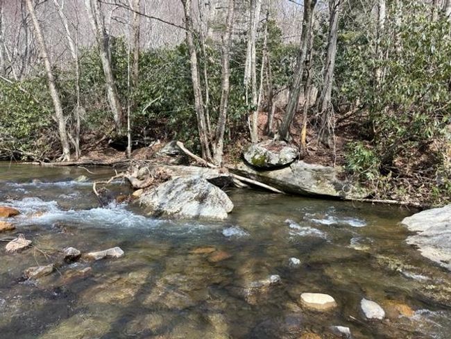 267 Sturgills Rd, House other with 3 bedrooms, 3 bathrooms and null parking in Mouth of Wilson VA | Image 92