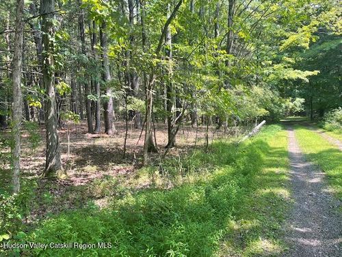 L-5 Gayhead-Earlton Road, Greenville, NY, 12083 | Card Image