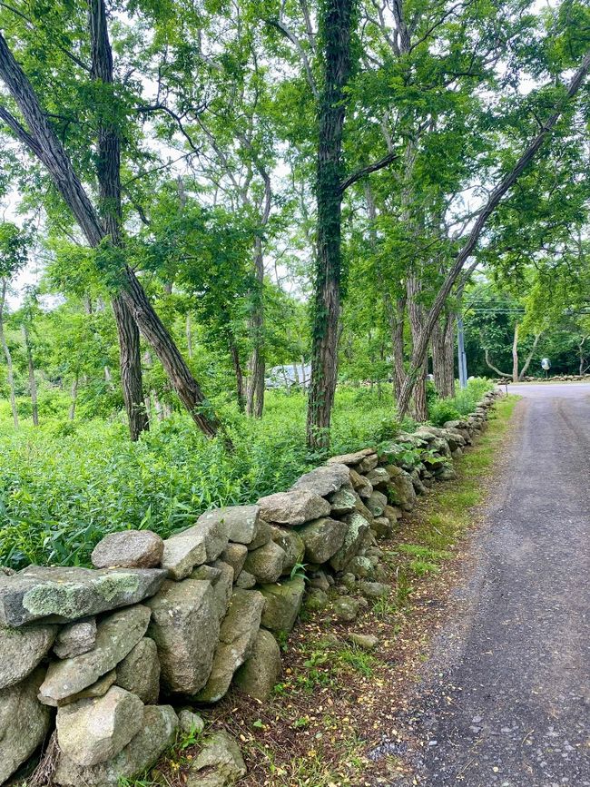 5 Ocean View Farm Rd, House other with 3 bedrooms, 2 bathrooms and null parking in Chilmark MA | Image 15