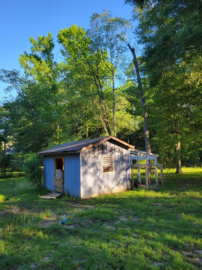 Green Shed | Image 90