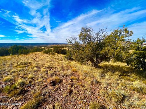 TBD Co Rd 5062 2.39 Acres, Concho, AZ, 85924 | Card Image