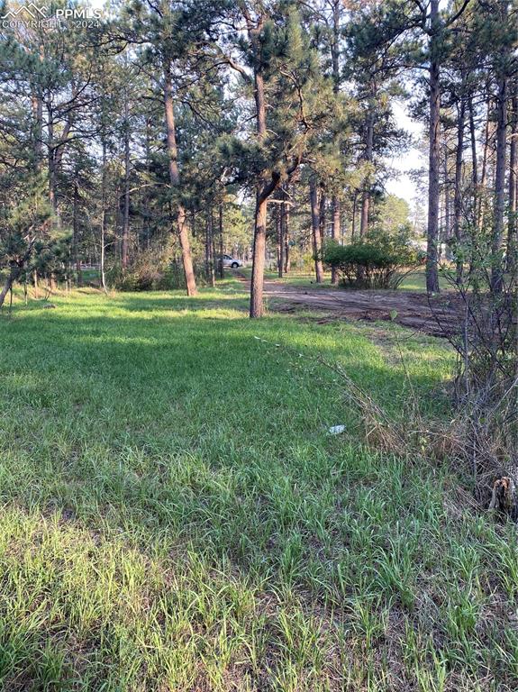 Black Forest Rd, Colorado Springs, CO 80908