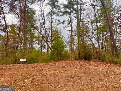 lot-1-and-3-0 Long Mountain Dr, Lakemont, GA, 30552 | Card Image