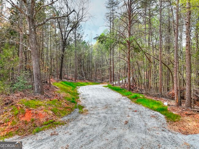 0 Falcon Ln, Home with 0 bedrooms, 0 bathrooms and null parking in Carnesville GA | Image 8