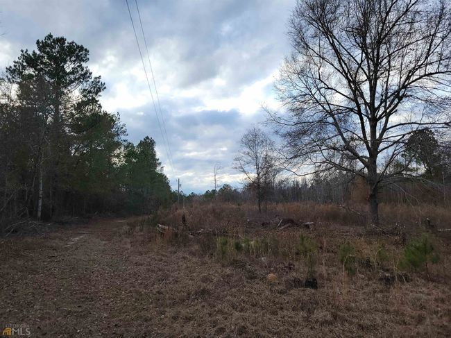 2757 Us Highway 1 N, Home with 0 bedrooms, 0 bathrooms and null parking in swainsboro GA | Image 6