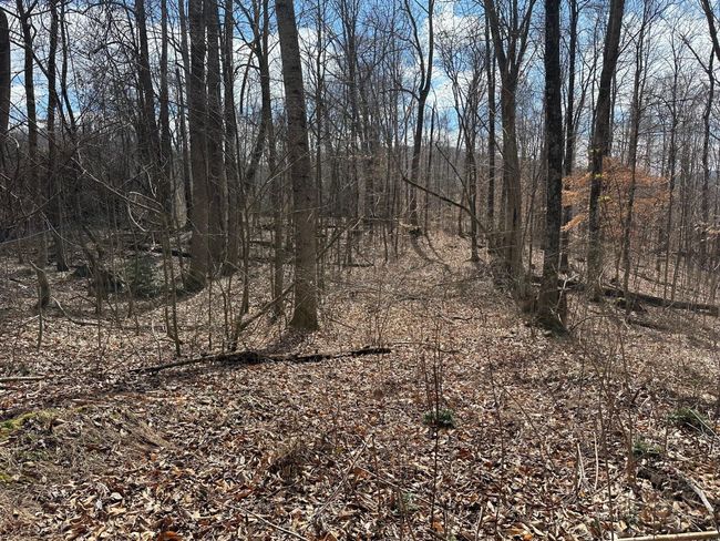 126 Northcutts Cove Rd, Home with 0 bedrooms, 0 bathrooms and null parking in Beersheba Springs TN | Image 9