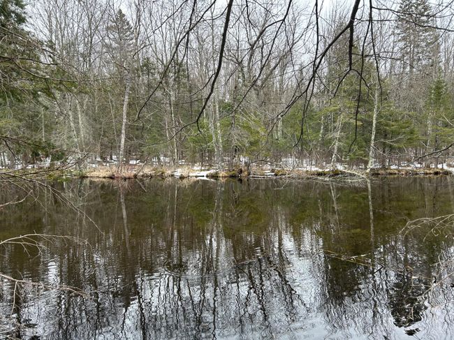 743 Woodlawn Rd, House other with 2 bedrooms, 1 bathrooms and null parking in Pickerel WI | Image 60