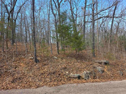 L6 B1 Deer Run Drive, Cherokee Village, AR, 72529 | Card Image