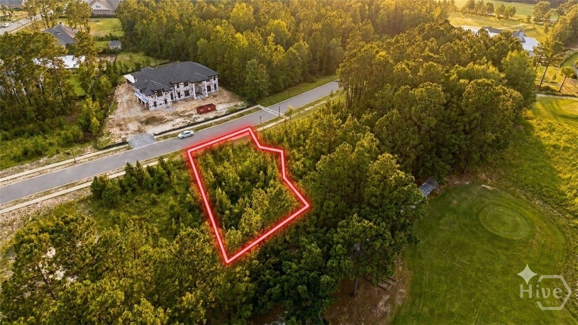 Land in Pooler 2