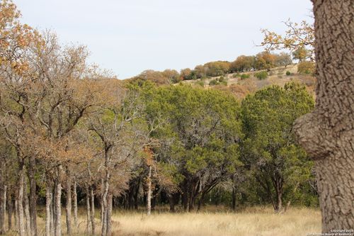 117 Whitetail Trail, San Saba, TX, 76877 | Card Image