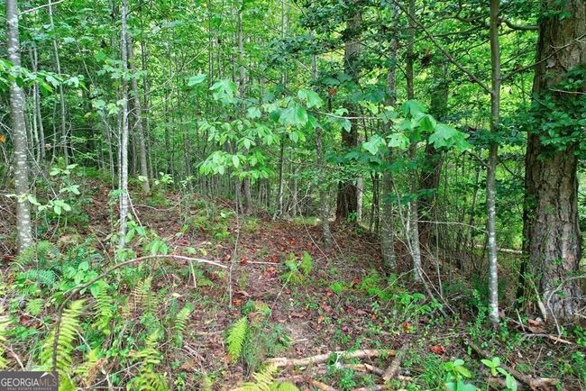 LOT 73 River Ridge, Home with 0 bedrooms, 0 bathrooms and null parking in Blue Ridge GA | Image 6