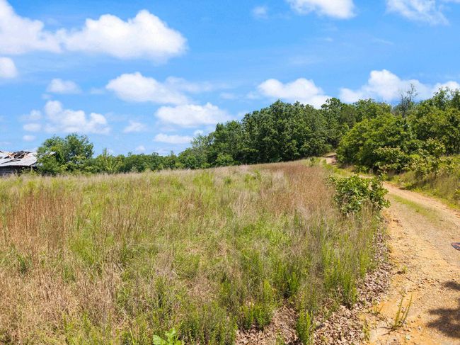 699 Almond Rd, House other with 3 bedrooms, 1 bathrooms and null parking in Jerusalem AR | Image 26