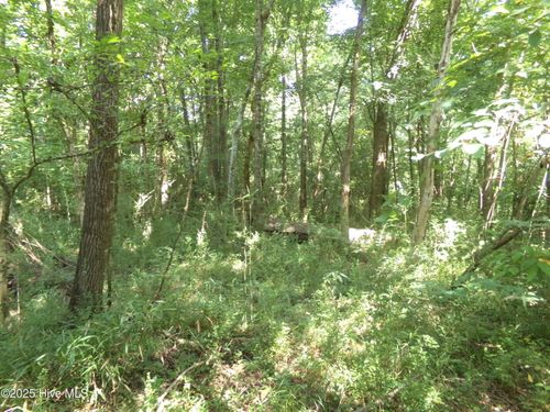 Off River Rd, White Oak, NC, 28399 | Card Image