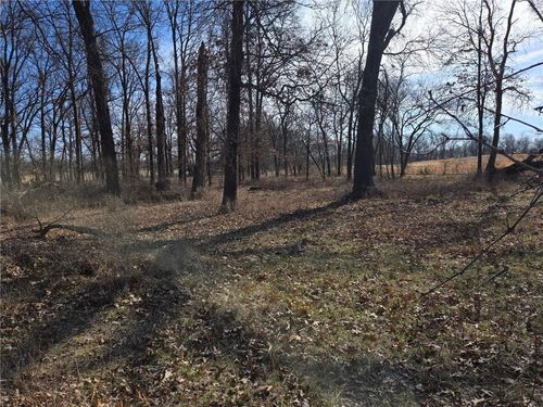 Tract B Nw County Rd 17402 N/A, Archie, MO, 64725 | Card Image