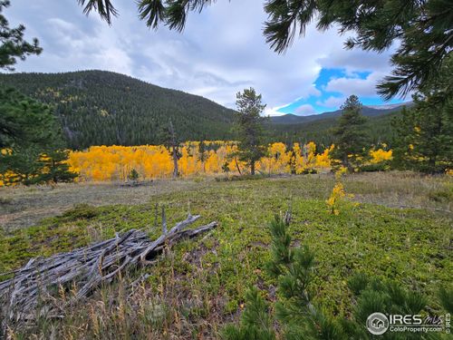 187 Arapaho Dr, Bellvue, CO, 80512 | Card Image