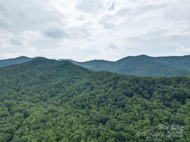 000 White Rock Branch Rd, Home with 0 bedrooms, 0 bathrooms and null parking in Candler NC | Image 30