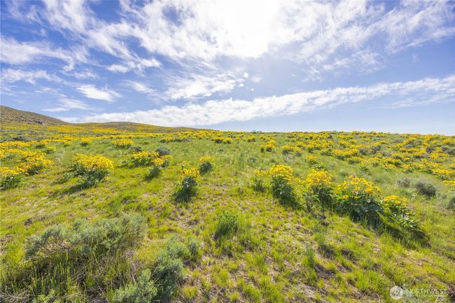 1 Terrace View Short Plat, Home with 0 bedrooms, 0 bathrooms and null parking in Methow WA | Image 16