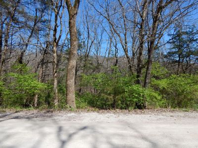 Lot from Road | Image 1