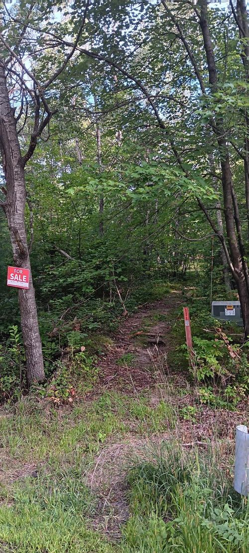 XXX Lakeside Rd, Willard, WI, 54493 | Card Image