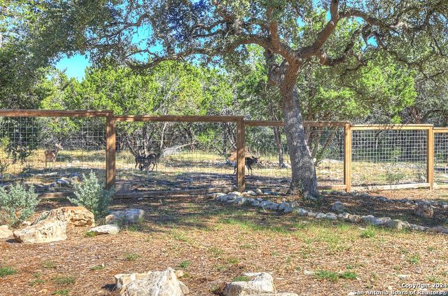 121 Wine Cup, House other with 4 bedrooms, 3 bathrooms and null parking in Spring Branch TX | Image 41