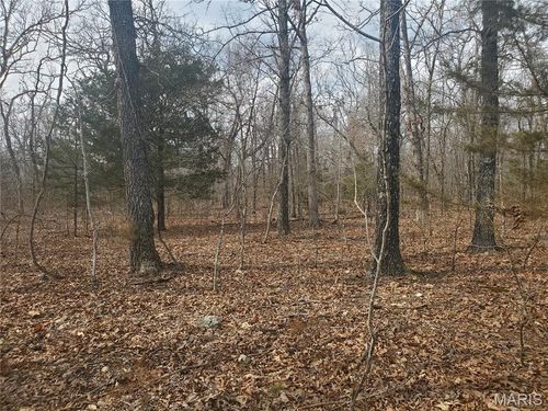0 S Highway 17, Laquey, MO, 65534 | Card Image
